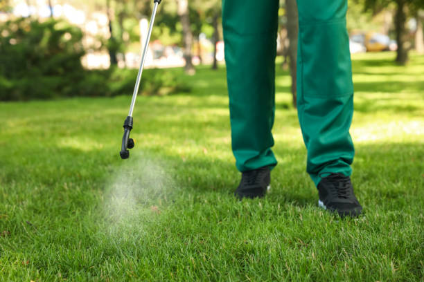 Flea Control Services in Haviland, NY