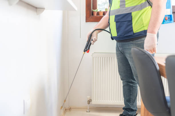 Best Best Pest Control Companies  in Haviland, NY